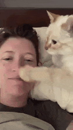 cuteanimalland giphyupload GIF