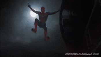 Tom Holland Land GIF by Spider-Man