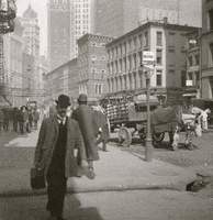 nyhistory vintage new york city horses carriage GIF