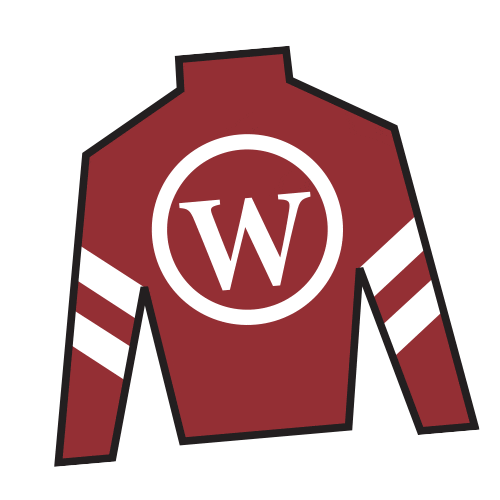Horse Racing Silks Sticker by Kentucky Derby