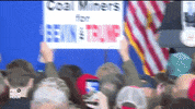 news kentucky election day election day 2019 matt bevin GIF