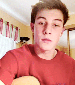 shawn mendes h GIF