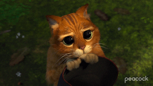 Movie gif. High angle on Puss in Boots from Shrek 2, eyes wide, using every ounce of himself to look as cute and innocent as possible, imploring.