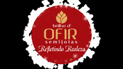 Brilhodofirsemijoias GIF by Brilho D Ofir