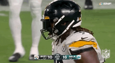 Pittsburgh Steelers Football GIF by NFL