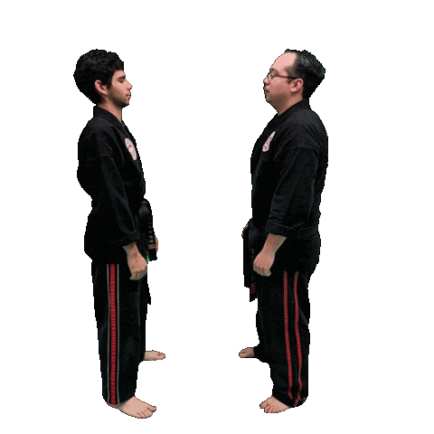 Karate Taekwondo Sticker by Team GMA