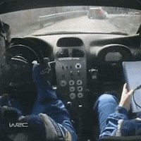 Sport Driving GIF by FIA World Rally Championship