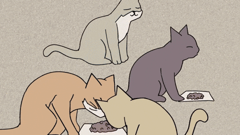 Animation 2D GIF