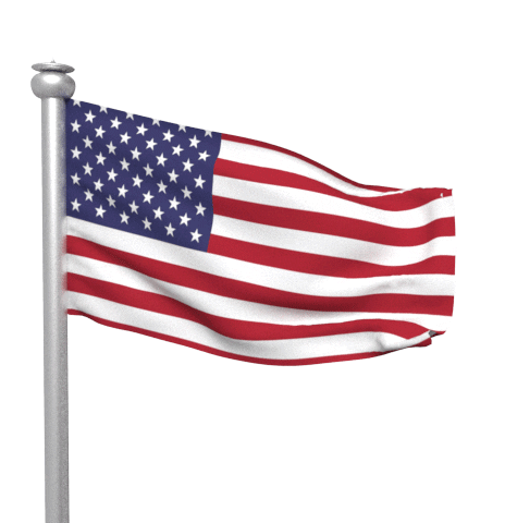 United States Of America Usa Sticker