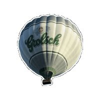Grolsch Sticker by Ballonfestival Hardenberg