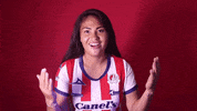 Sanluis Adsl GIF by Atlético de San Luis