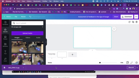 ashleybfort giphygifmaker GIF