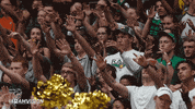 csu rams fans GIF by Colorado State Rams