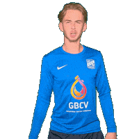 Hupdieblauwen Sticker by SDC Putten