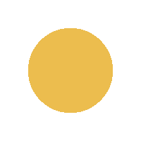 Circle Shape Sticker by theinstagramexpert