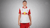 Respect Bow Down GIF by FC Red Bull Salzburg