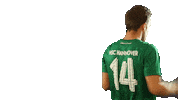 Football Sport Sticker by HSC Hannover
