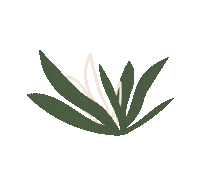 teduhco green pretty minimal plants Sticker