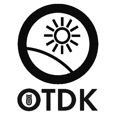 Sapientia Sticker by Gödri Csilla