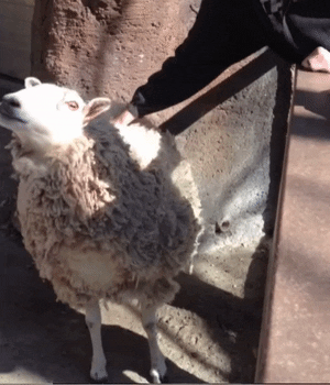 GIF by Mashable
