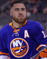 Hockey Nhl GIF