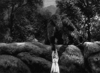 mighty joe young GIF by Maudit