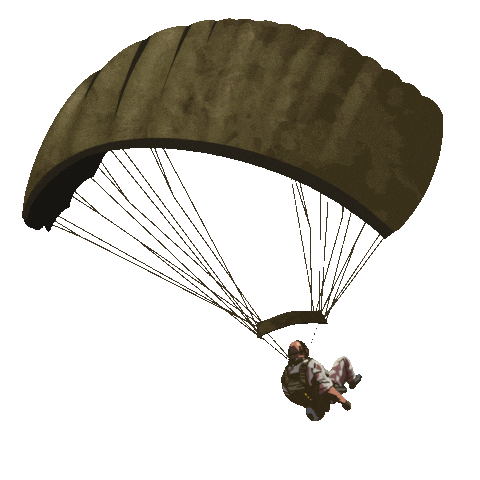 Drop In Battle Royale Sticker by Call of Duty