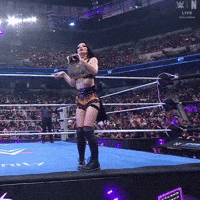 Wwe Wrestling GIF