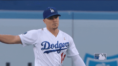 Major League Baseball Sport GIF by MLB