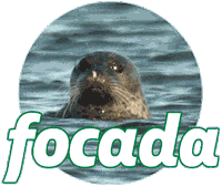 Concentrada Focada Sticker by Petrobras