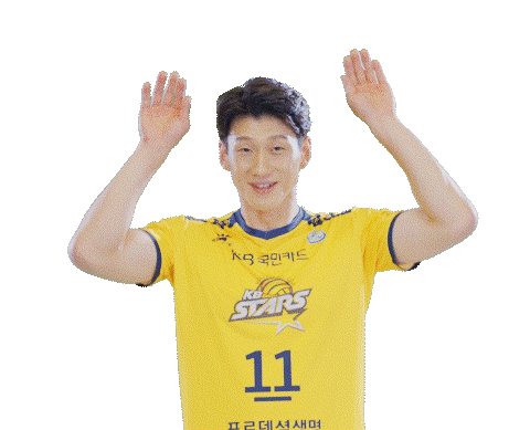 Kb스타즈 Sticker by KB STARS VOLLEYBALL CLUB