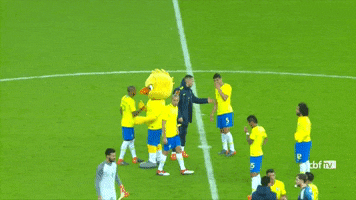 selecao brasileira GIF by Confederação Brasileira de Futebol