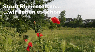 Wohnen GIF by Stadt Rheinstetten