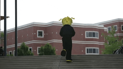 Wu_Shock giphyupload college wsu wu GIF