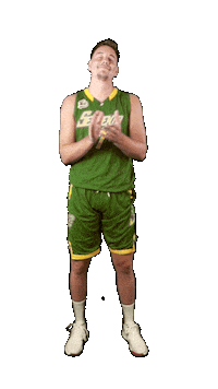 Happy Basketball Sticker by ACSL - Austrian College Sports League