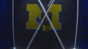 Go Blue Michigan Football GIF by Michigan Athletics