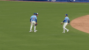 High Five Chicago Cubs GIF by TheDreamTeam 