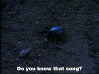 season 2 GIF