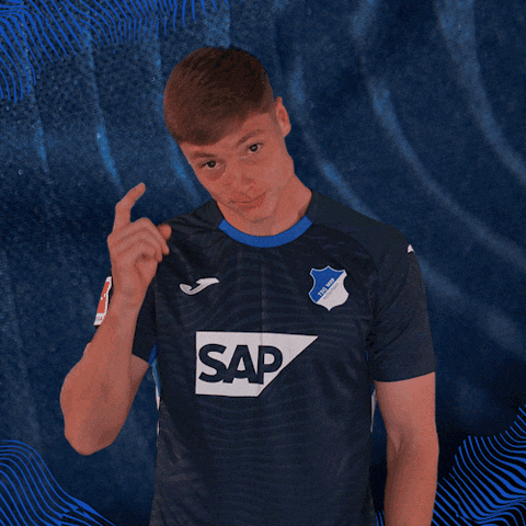 Sport Bundesliga GIF by TSG Hoffenheim