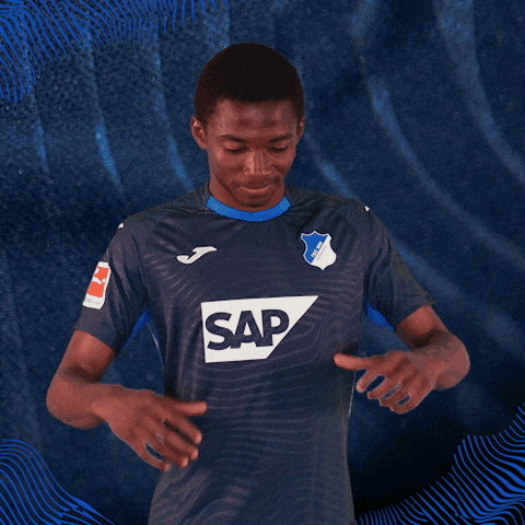 Sport Bundesliga GIF by TSG Hoffenheim