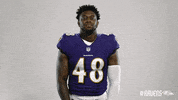 Charm City Football GIF by Baltimore Ravens