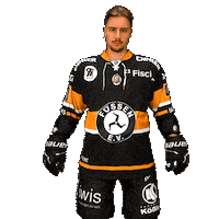 Hockey Fuessen Sticker by EV Füssen
