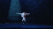 Nutcracker GIF by English National Ballet