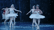 Nutcracker GIF by English National Ballet