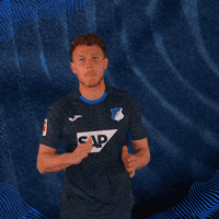 Sport Bundesliga GIF by TSG Hoffenheim