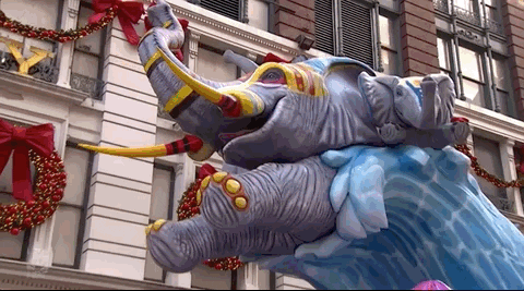 Macys Parade GIF by The 96th Macy’s Thanksgiving Day Parade