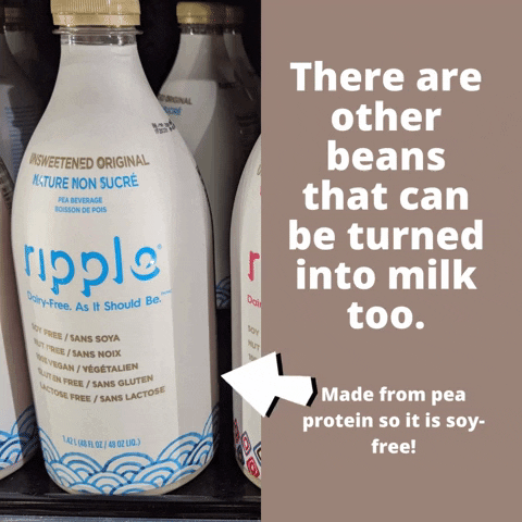 brighdereed giphyupload GIF