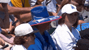 Blue Jays Baseball GIF by Toronto Blue Jays
