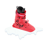 tomsensports sports snowskates tomsensports tomsen Sticker