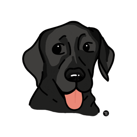 Dog Pet Sticker